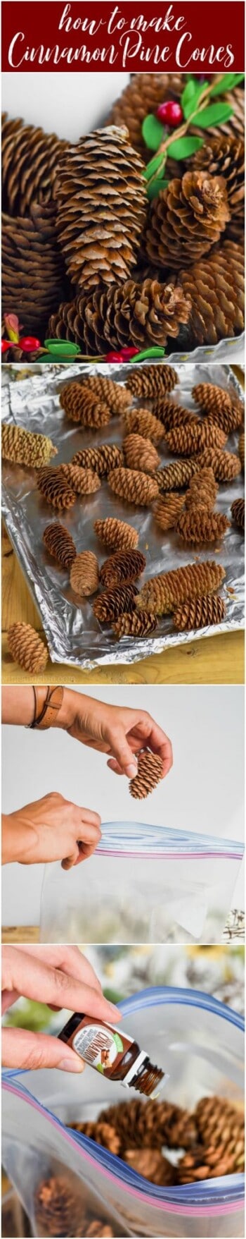 Cinnamon Scented Pine Cones Simple Joy