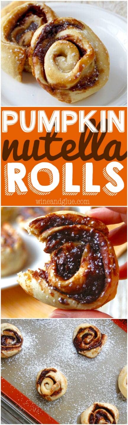 Pumpkin Nutella Rolls! The delicious flavors of pumpkin and Nutella swirled together in a delicious pinwheel. Super simple to make and incredibly delicious!