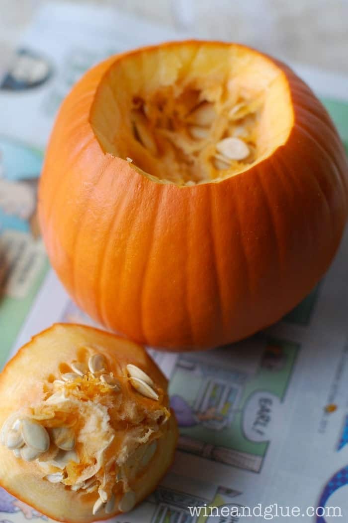 small pumpkin that has had top cut off