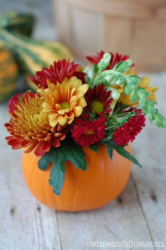 small pumpkin holding a flower arrangement