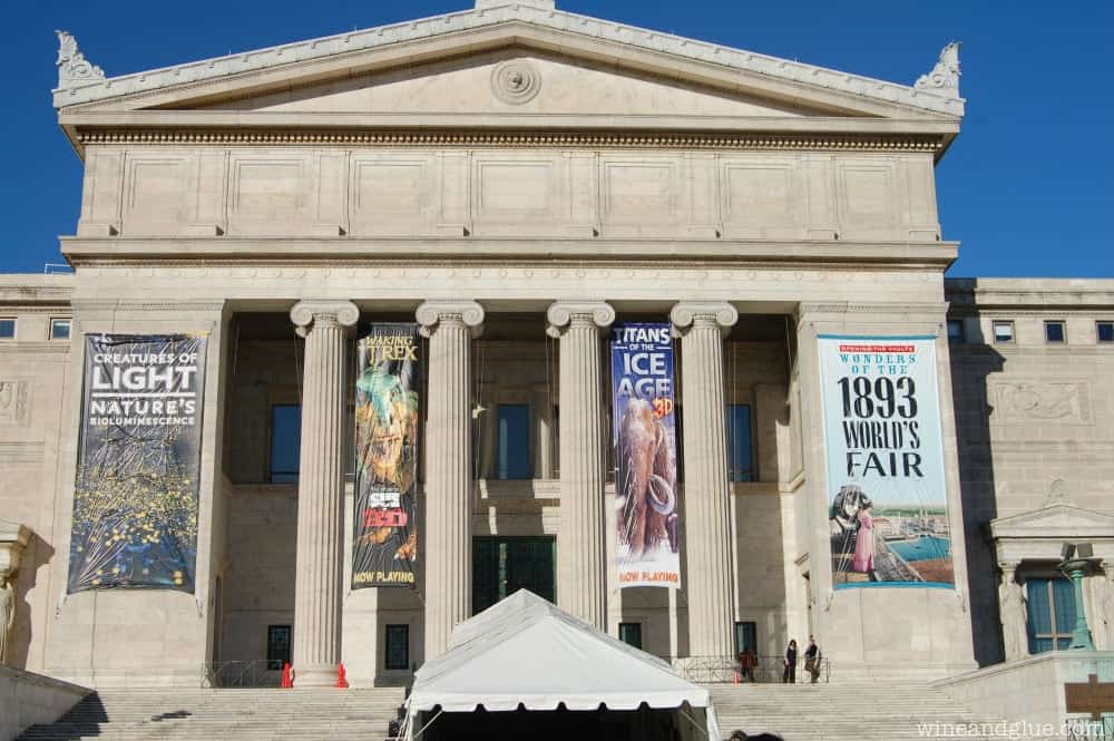 The 1893 World's Fair Exhibit | www.wineandglue.com | A recap of the amazing exhibit that showcases the beginning of the Field Museum