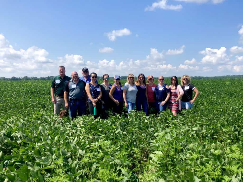 group of bloggers in a soy bean field