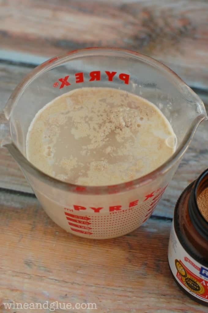 a glass measuring cup with water and active dry yeast that is starting to grow