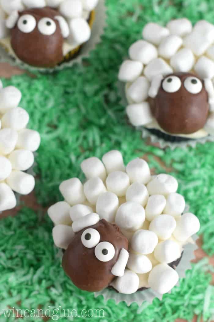 Sheep Cupcakes - 17