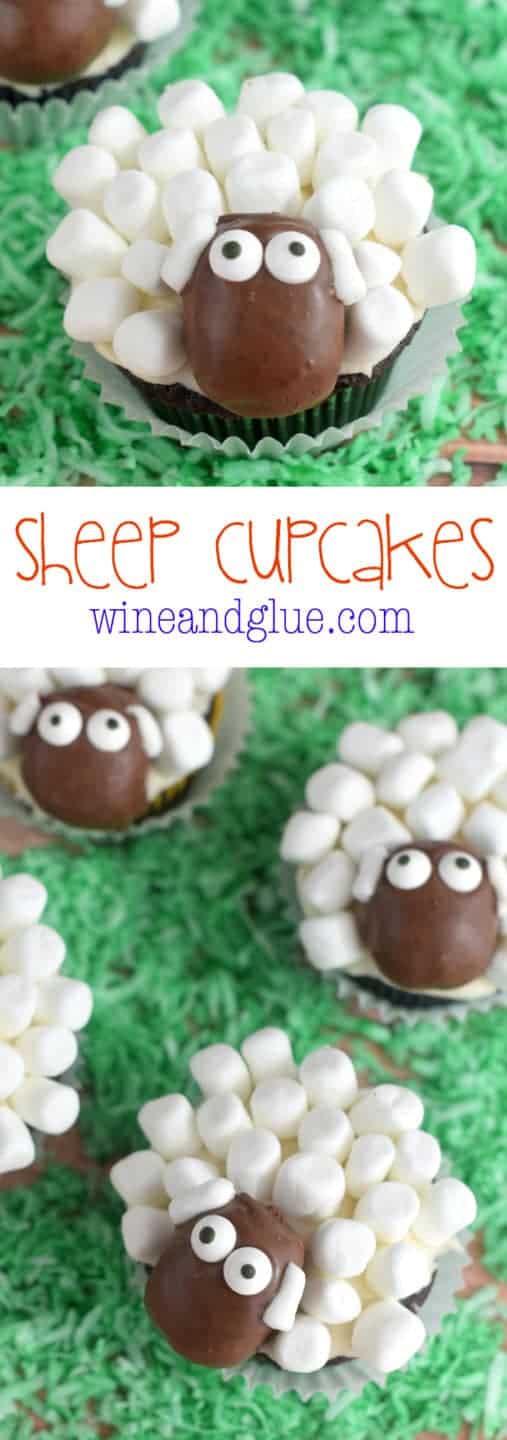 Sheep Cupcakes! Cute and unbelievably delicious!!