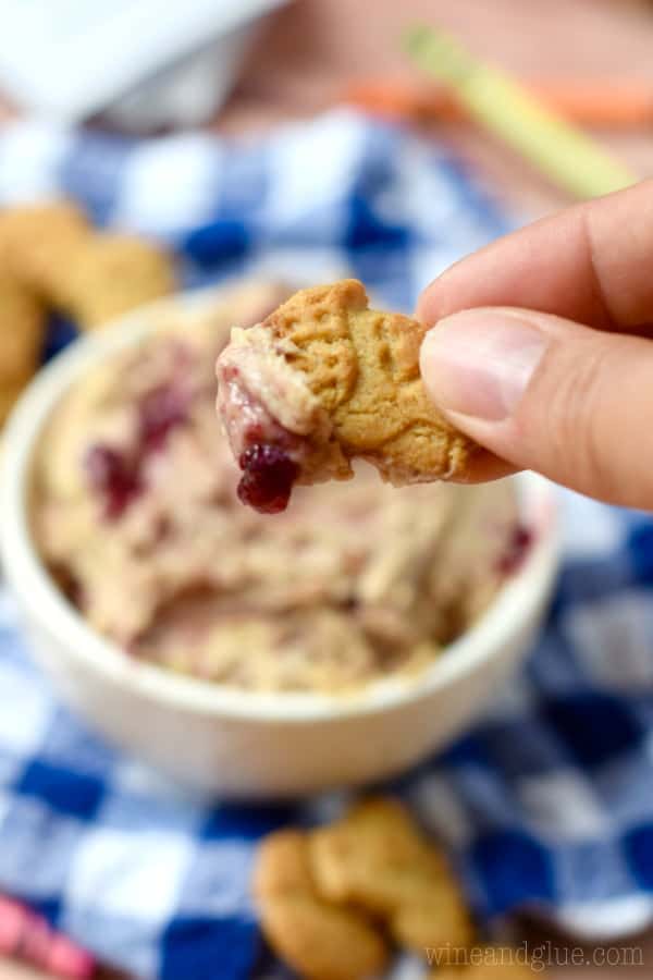 This Peanut Butter and Jelly Dip is a fun snack for the kiddos that whips up really fast and is a snack that you can feel good about.