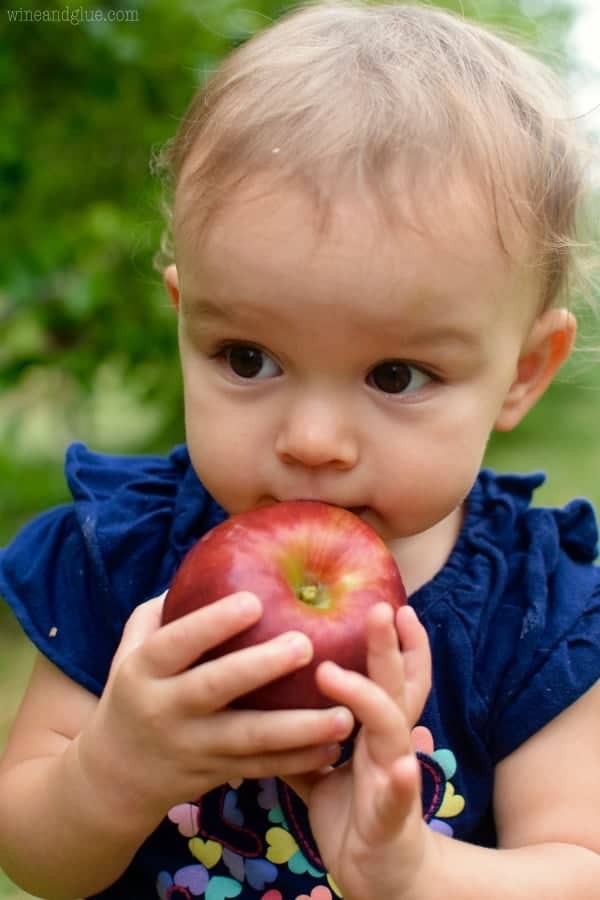A little baby girl holding a big red apple to her mouth.