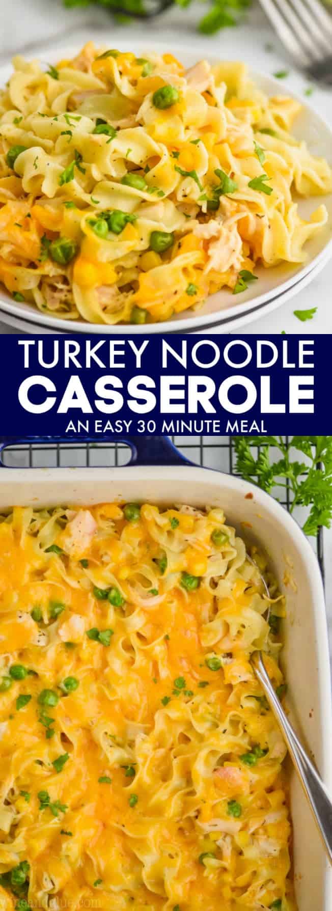 Turkey Noodle Casserole - Simple Joy