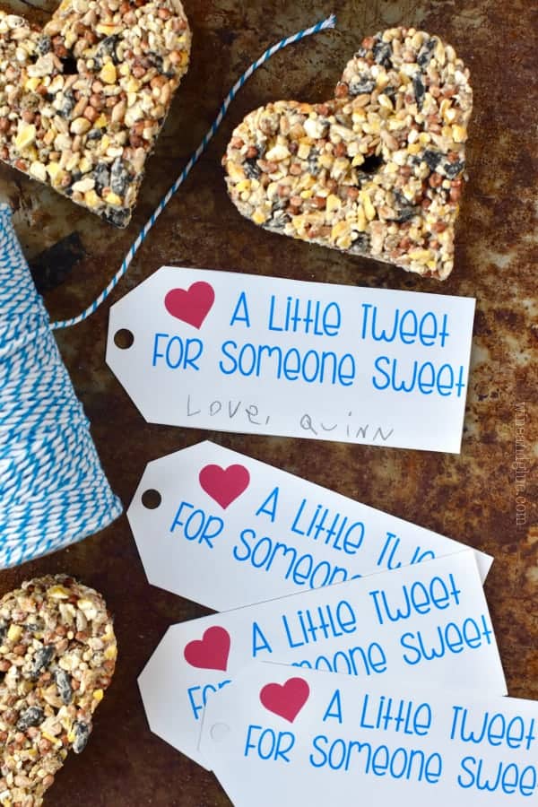 These Valentine's Day Bird Feeder Printable Tags are perfect for using with these Heart Bird Feeders and gifting at Valentine's Day!