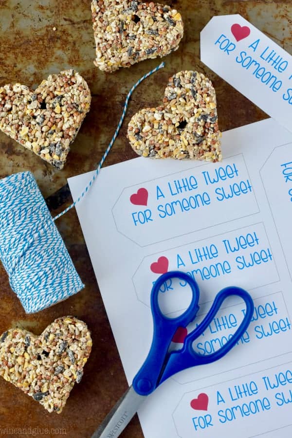 These Valentine's Day Bird Feeder Printable Tags are perfect for using with these Heart Bird Feeders and gifting at Valentine's Day!