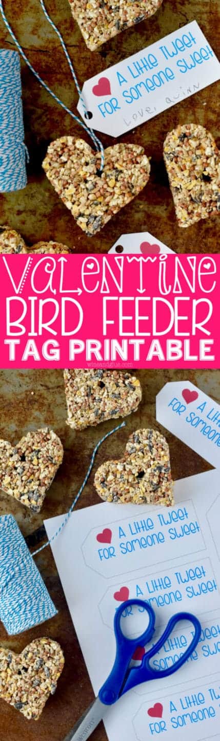 These Valentine's Day Bird Feeder Printable Tags are perfect for using with these Heart Bird Feeders and gifting at Valentine's Day!