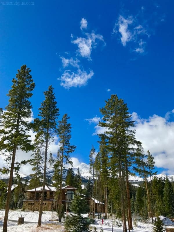 A beautiful photo of a cabin in the woods during winter time. 