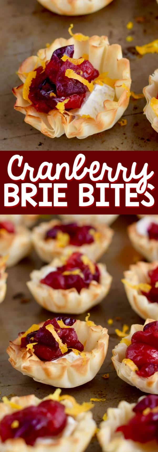 Cranberry Brie Bites Simple Joy