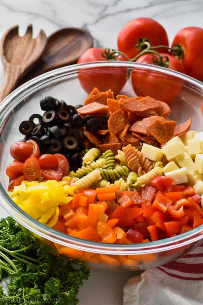 Italian pasta salad recipe in a bowl with ingredients