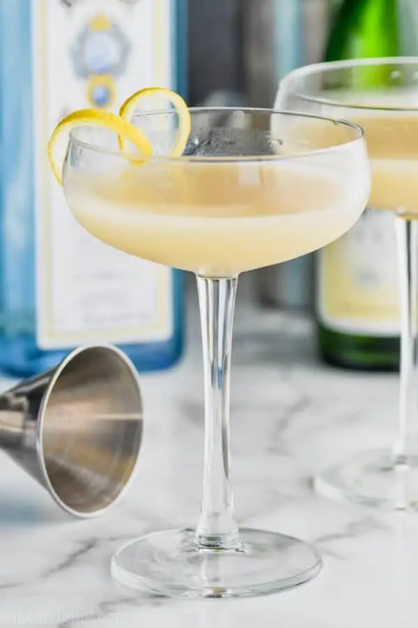 Gin Martini Recipe - Simple Joy