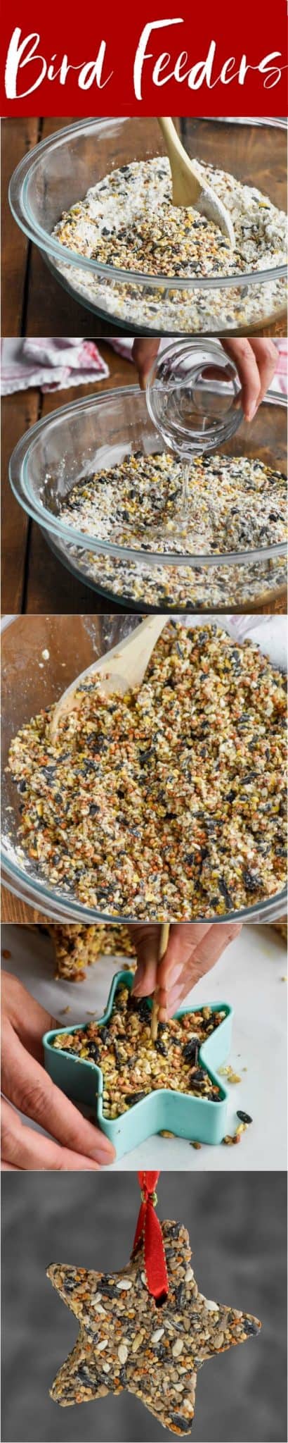 Diy Bird Feeder Wine Glue