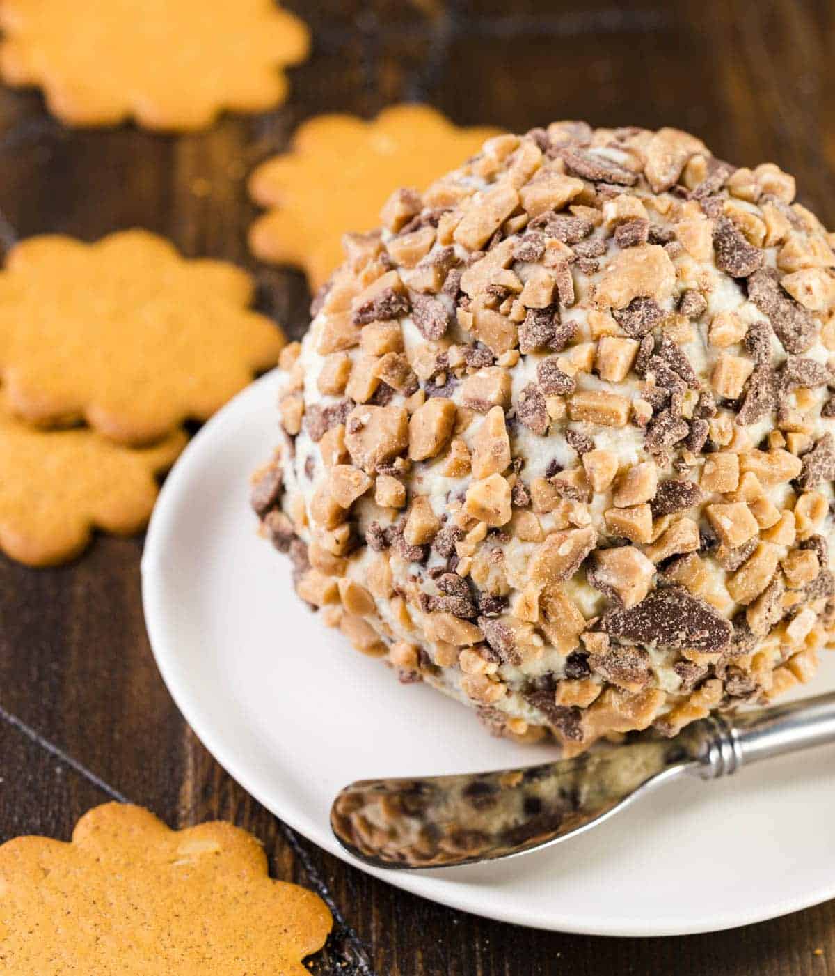 The Chocolate Chip Cheeseball is plated on the middle of a circular plate