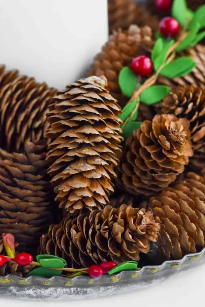How To Make Cinnamon Scented Pinecones - 2 Ways!