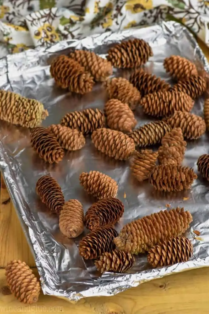 DIY Cinnamon Scented Pine Cones - 2 Bees in a Pod