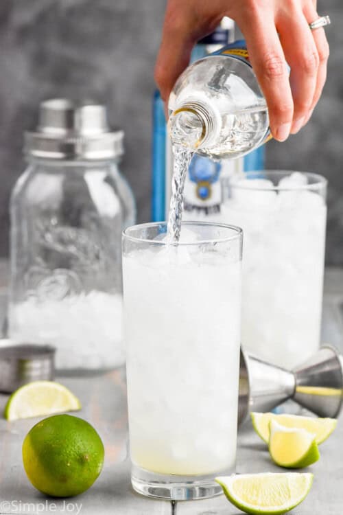 Gin Rickey Recipe (Low Calorie!) - Simple Joy