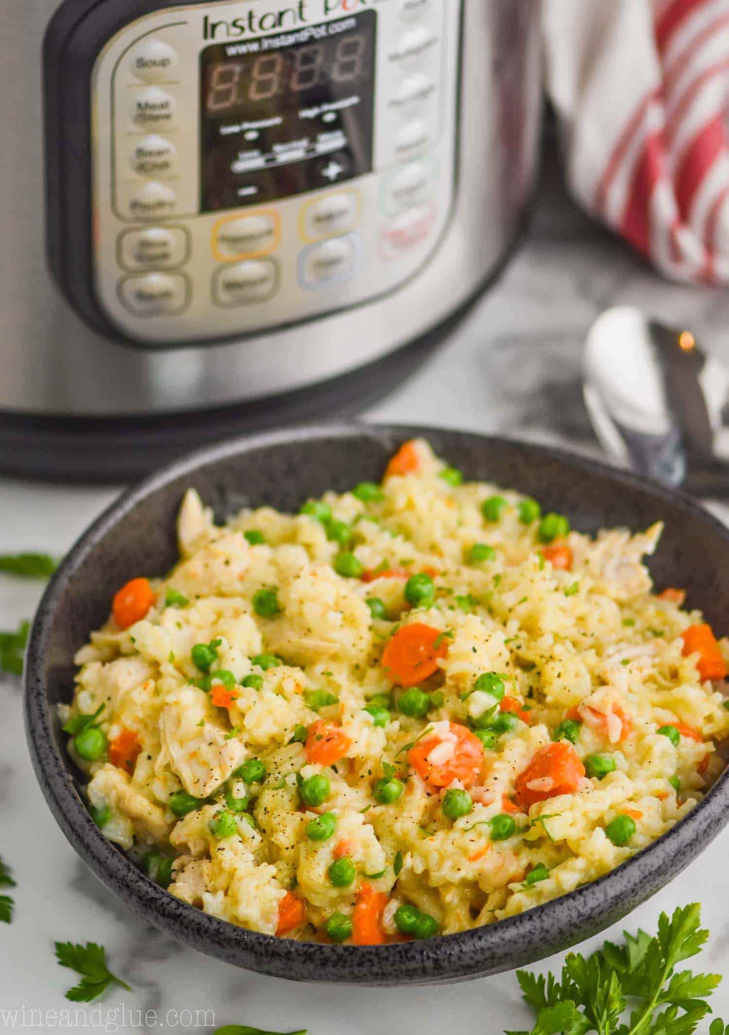 Rice with best sale chicken instant pot