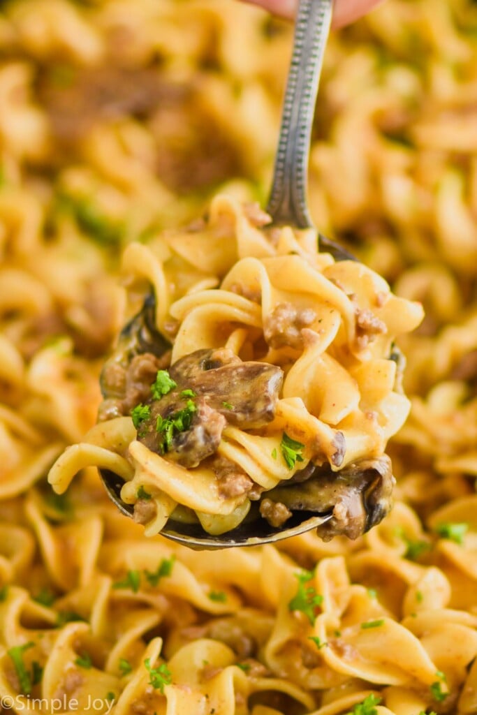 serving spoon dishing up ground beef stroganoff recipe with egg noodles, sliced mushrooms, and fresh parsley