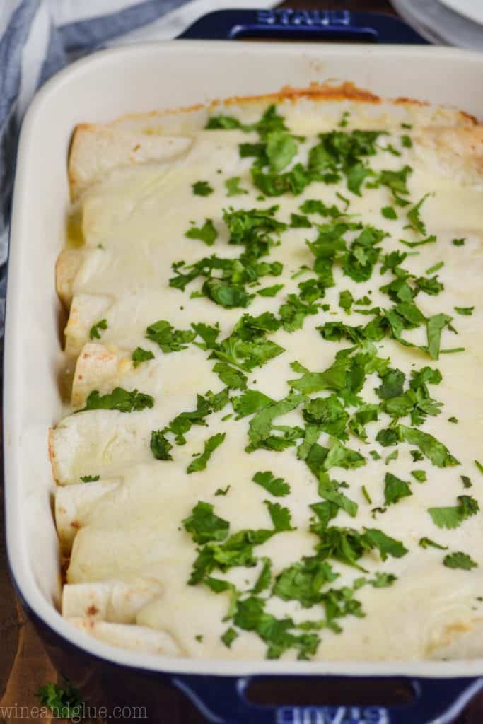 close up side view of white chicken enchiladas in a ceramic baking dish covered in a sour cream sauce and garnished with cilantro