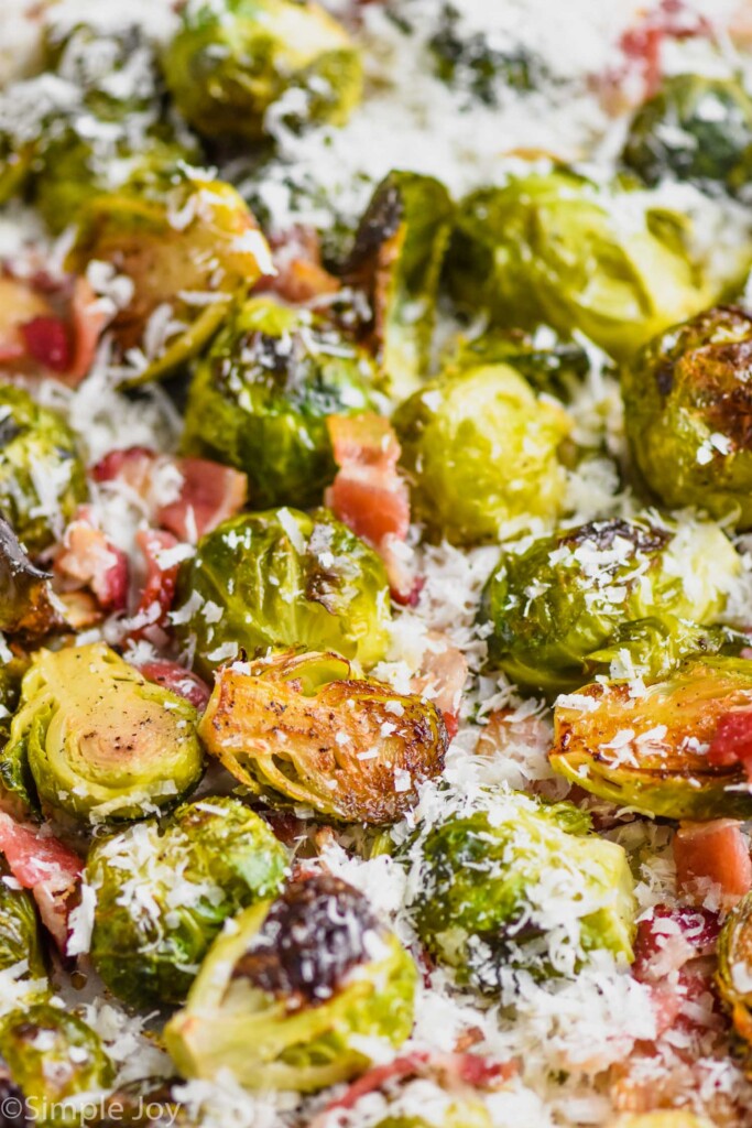 up close of roasted brussel sprouts with parmesan cheese and bacon