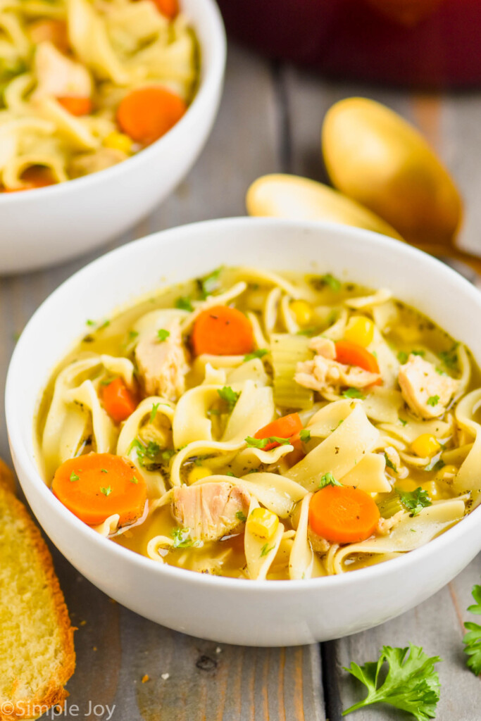 close up of a white bowl full of turkey noodle soup recipe with slices of carrot, pieces of turkey, and long egg noodles visible