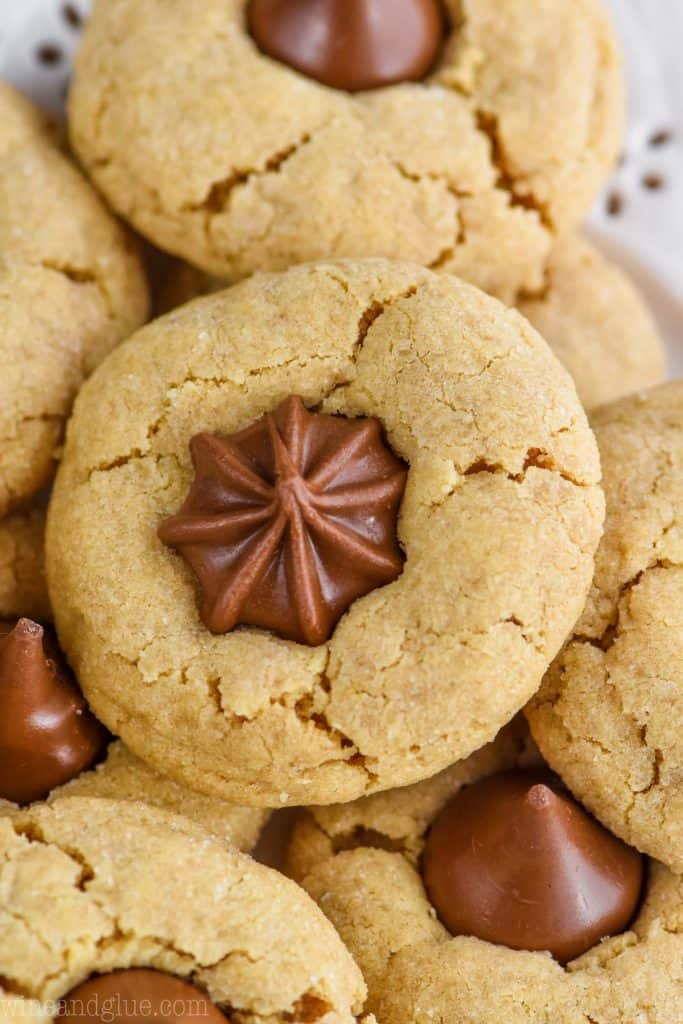 close up of a peanut butter star cookie - a crisp peanut butter cookie that has been rolled in sugar with a chocolate star candy pushed into the top