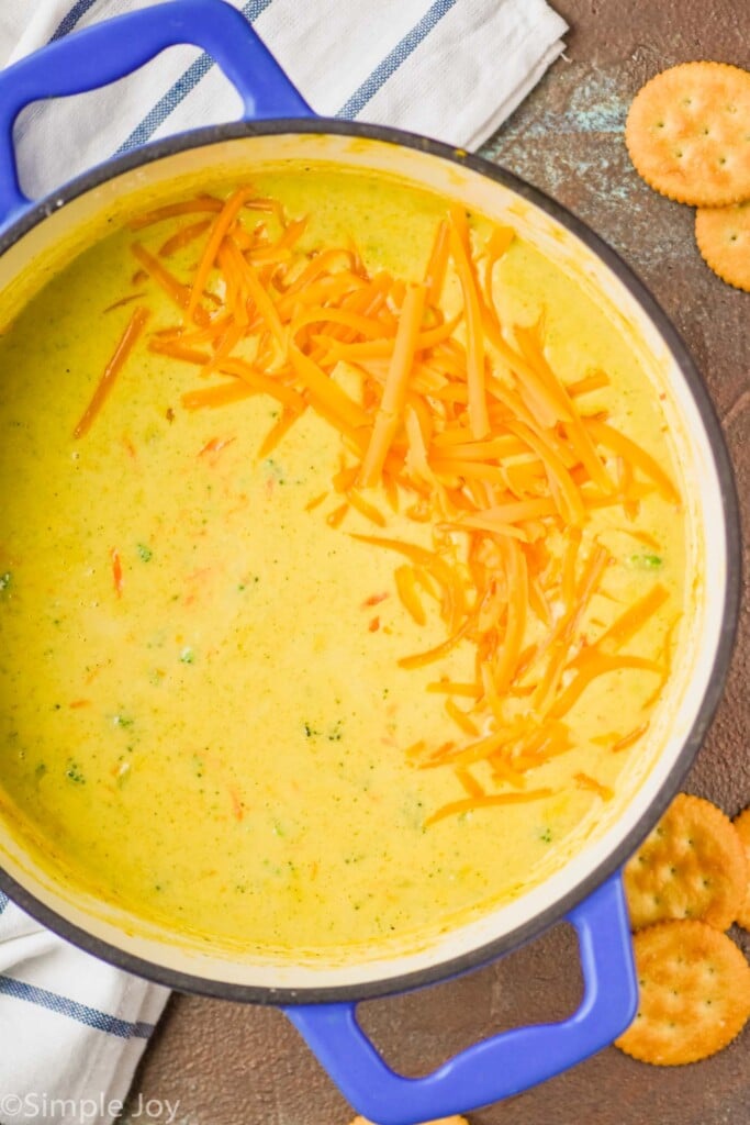 overhead view of a blue dutch oven full of Panera broccoli cheddar soup, garnished with more shredded cheese on a brown surface