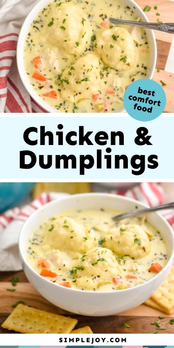 Chicken Dumpling Soup - Simple Joy
