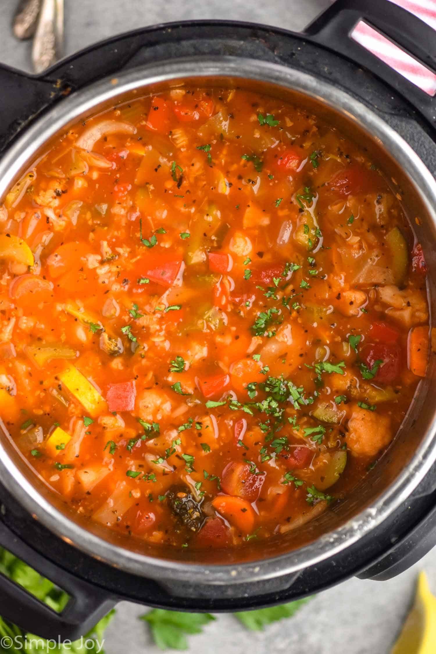 Instant Pot Vegetable Soup - Simple Joy