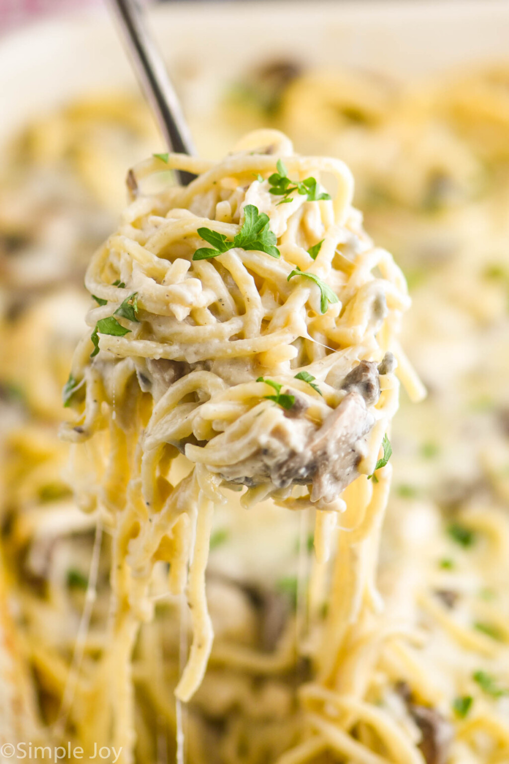 Chicken Tetrazzini - Simple Joy