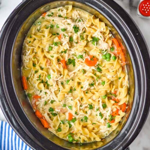 Creamy Crockpot Chicken Noodle Soup - Simple Joy