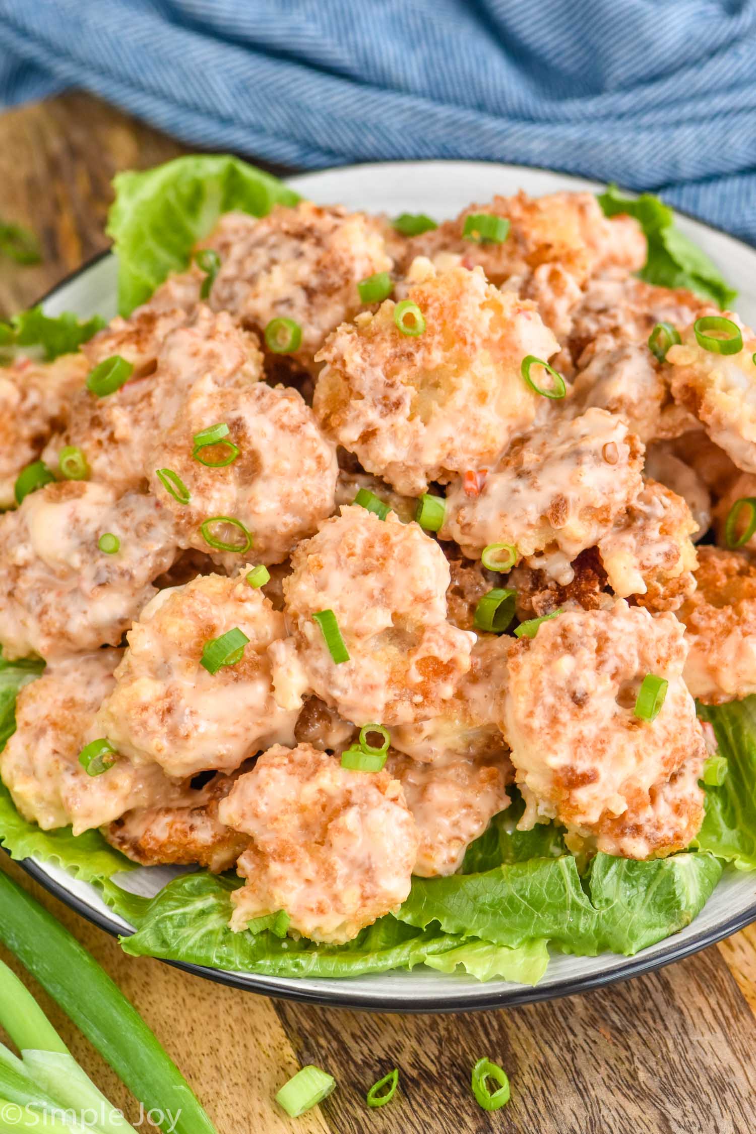 Crockpot Chicken Wings - Simple Joy