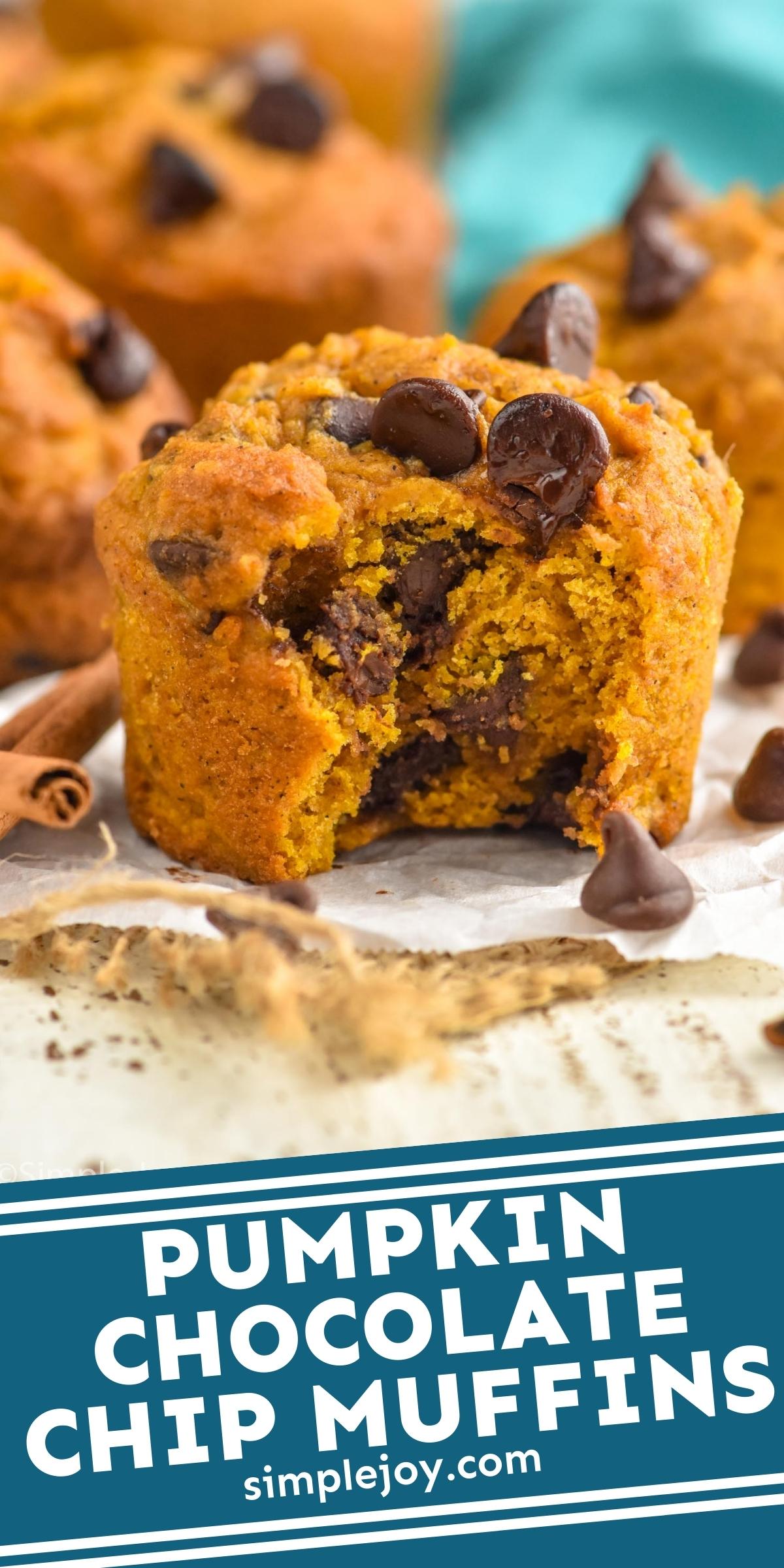 Pumpkin Chocolate Chip Muffins - Simple Joy