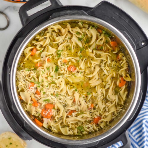 The BEST Instant Pot / Pressure Cooker Chicken Noodle Soup