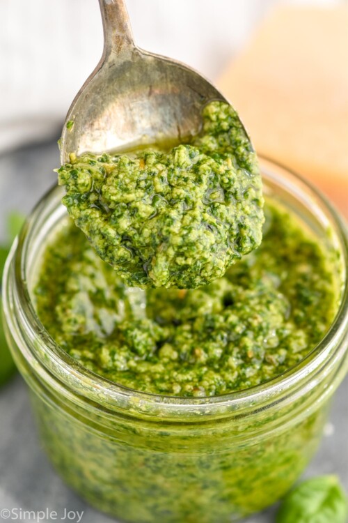 Pesto Sauce Recipe Simple Joy