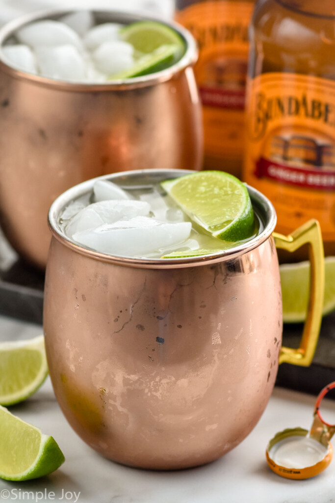 Moscow Mule - The Endless Meal®