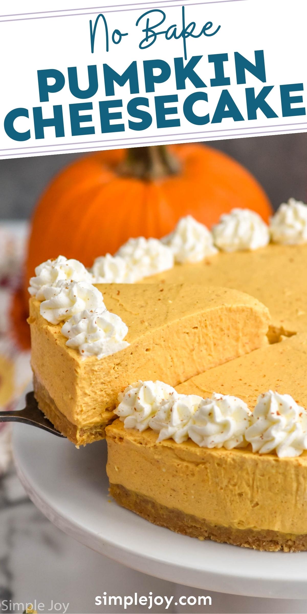 No Bake Pumpkin Cheesecake - Simple Joy