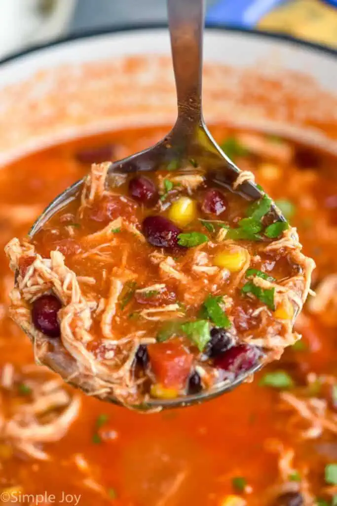 Ladle of Chicken Tortilla Soup