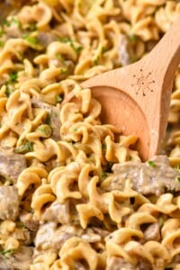 close up of wooden spoon in Beef Stroganoff