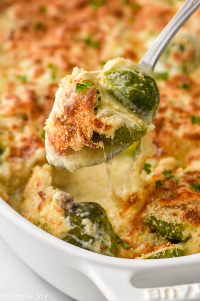 a spoon lifting up a spoonful of Brussel sprout casserole