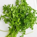 Bunch of fresh parsley on a white cutting board to show How to Store Parsley