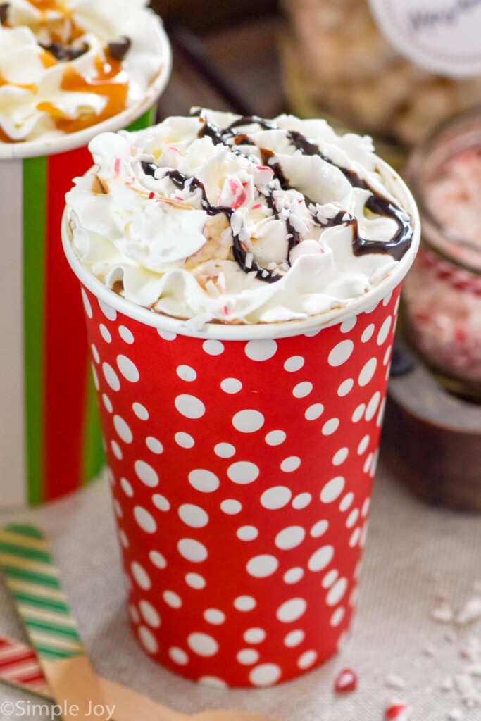 cup of hot chocolate toped with whipped cream, peppermint chips, and chocolate drizzle. Cup of hot chocolate and jars of toppings sitting in background