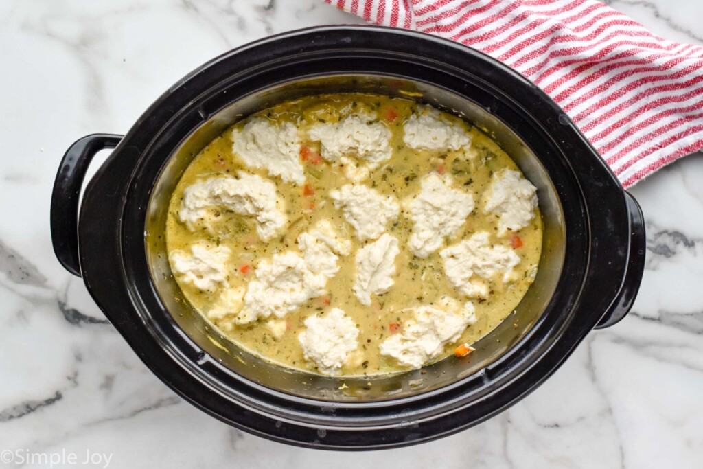 Overhead view of ingredients in slow cooker for Crockpot Chicken and Dumplings recipe