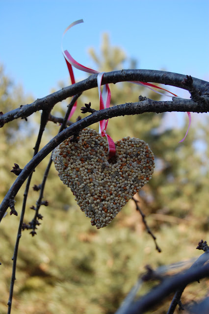 These Valentine's Day Bird Feeders are a simple craft and make for a cute little gift!