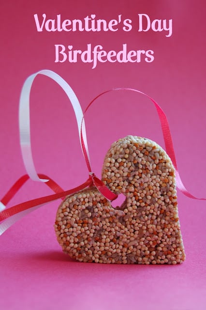 These Valentine's Day Bird Feeders are a simple craft and make for a cute little gift!